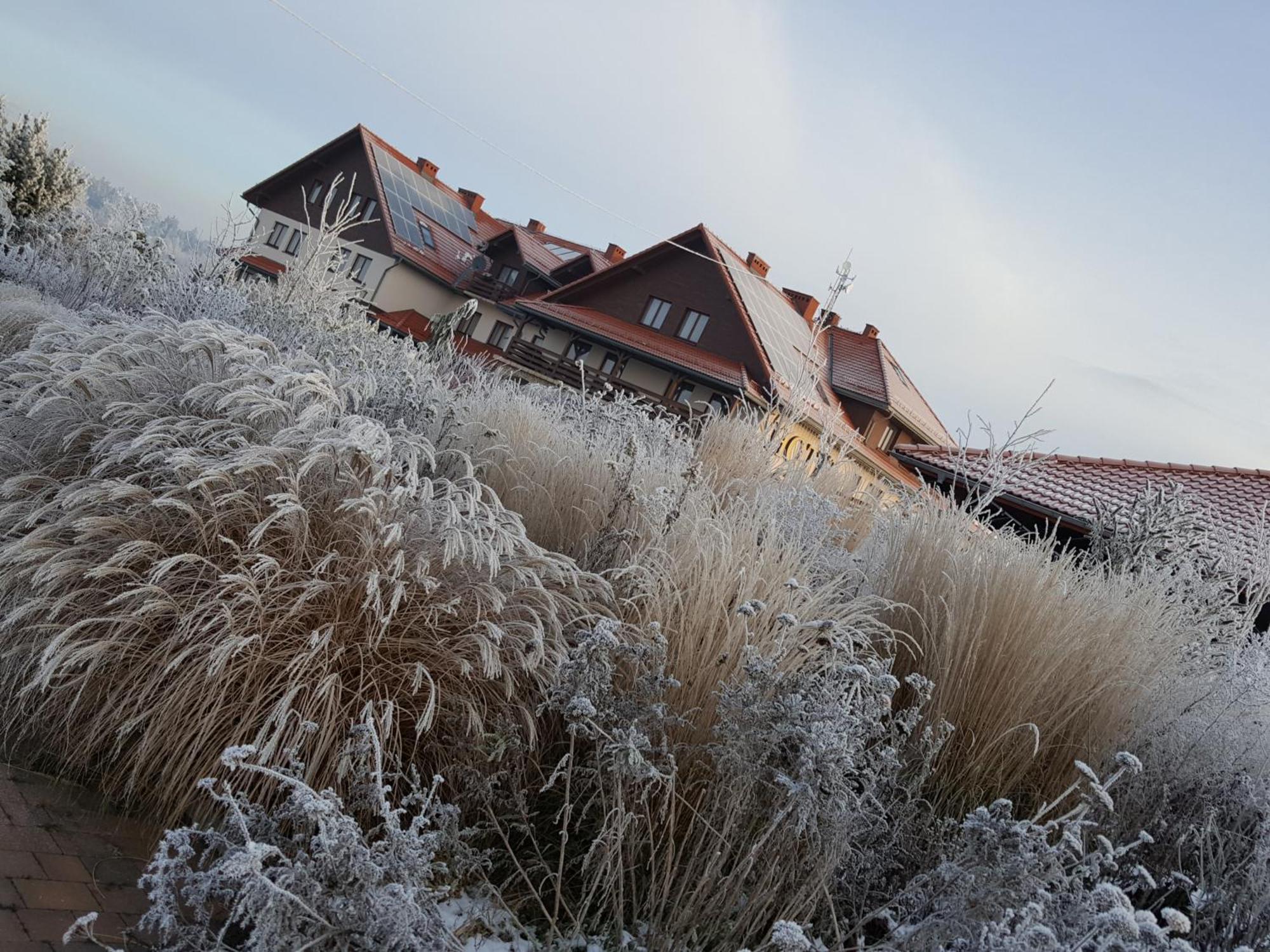 Hotel Lokietek Czajowice Экстерьер фото